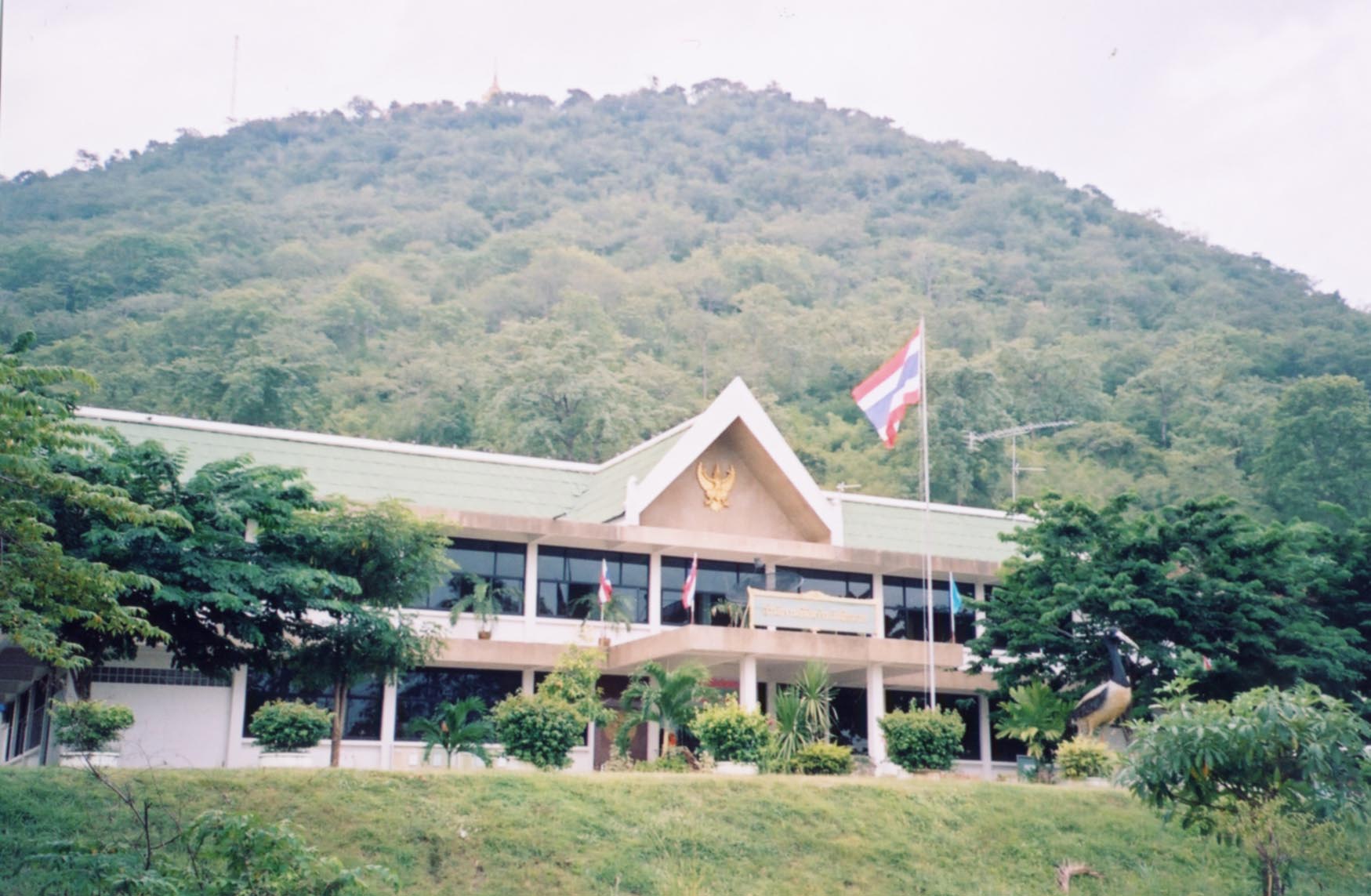 d003.jpg