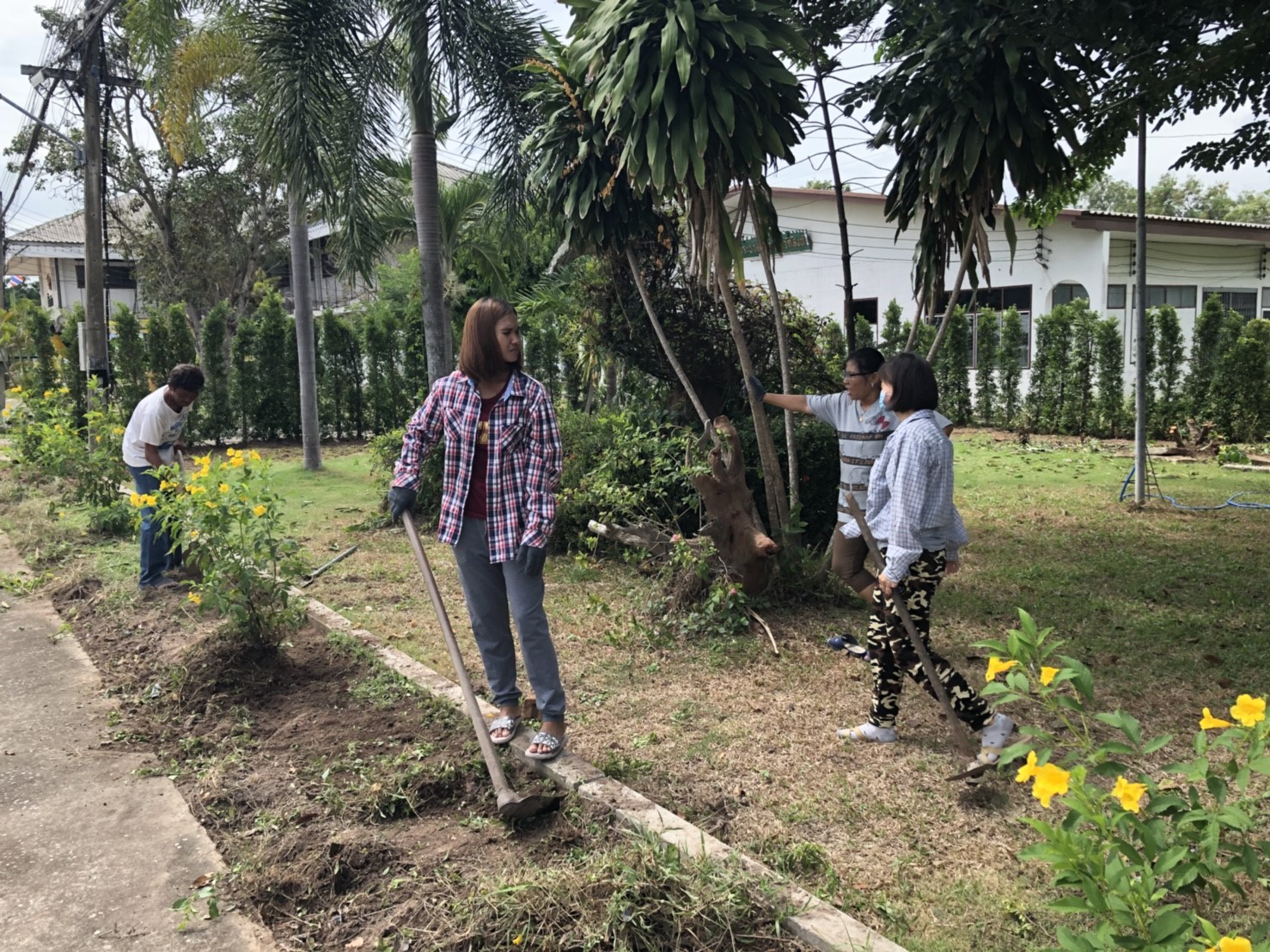 ปรับปรุงภูมิทัศน์ 2_๑๘๐๘๐๗_0024.jpg