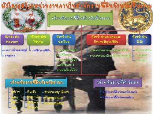 ผัง.jpg