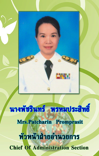 พัชรินทร์2.jpg