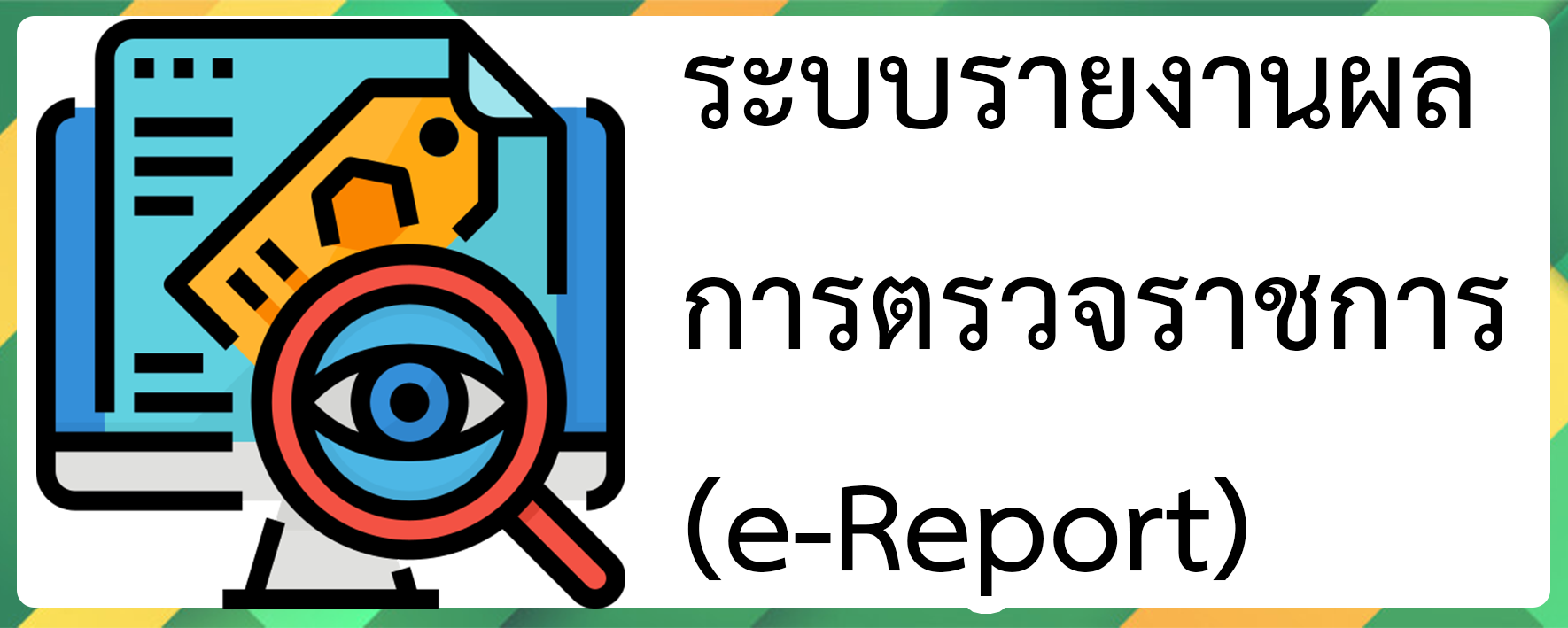 e-report.png