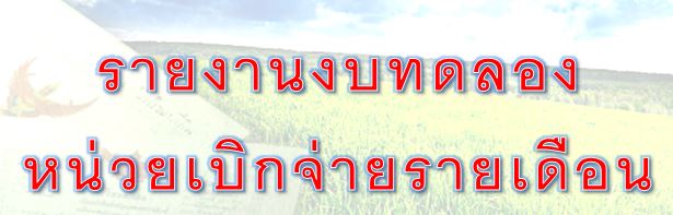 งบทดลอง การเงิน.JPG