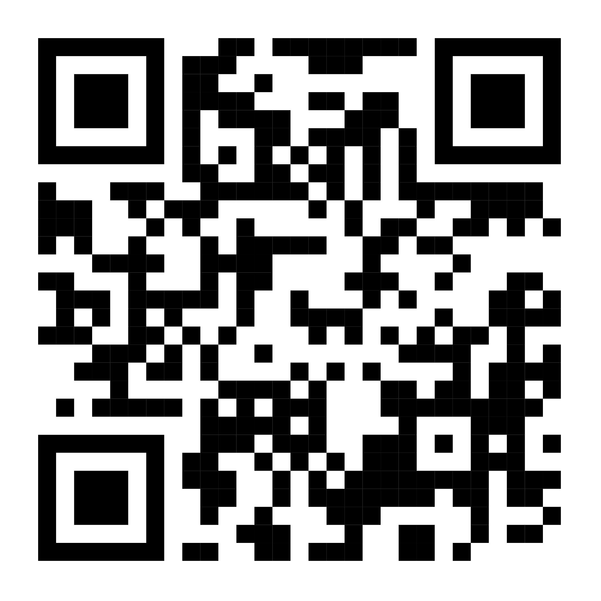 Q 06-2566 work report_qrcode.png