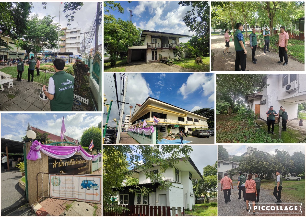 Collage.jpg