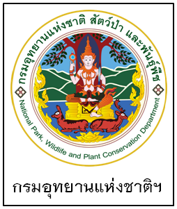 23.bmp