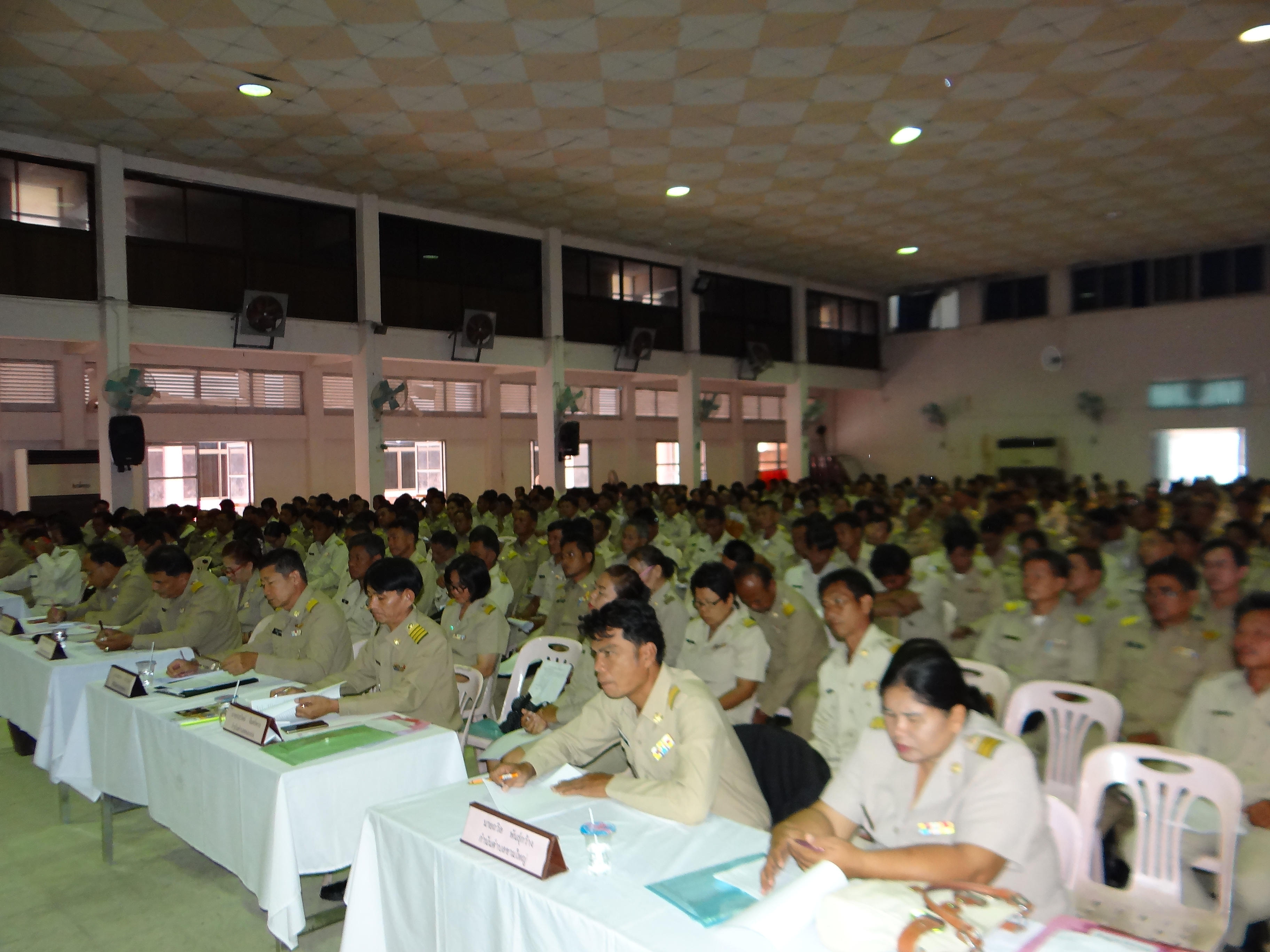 DSC004.JPG