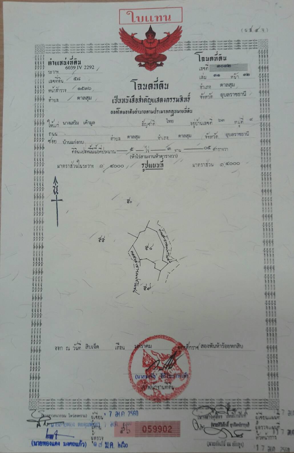 68594.jpg