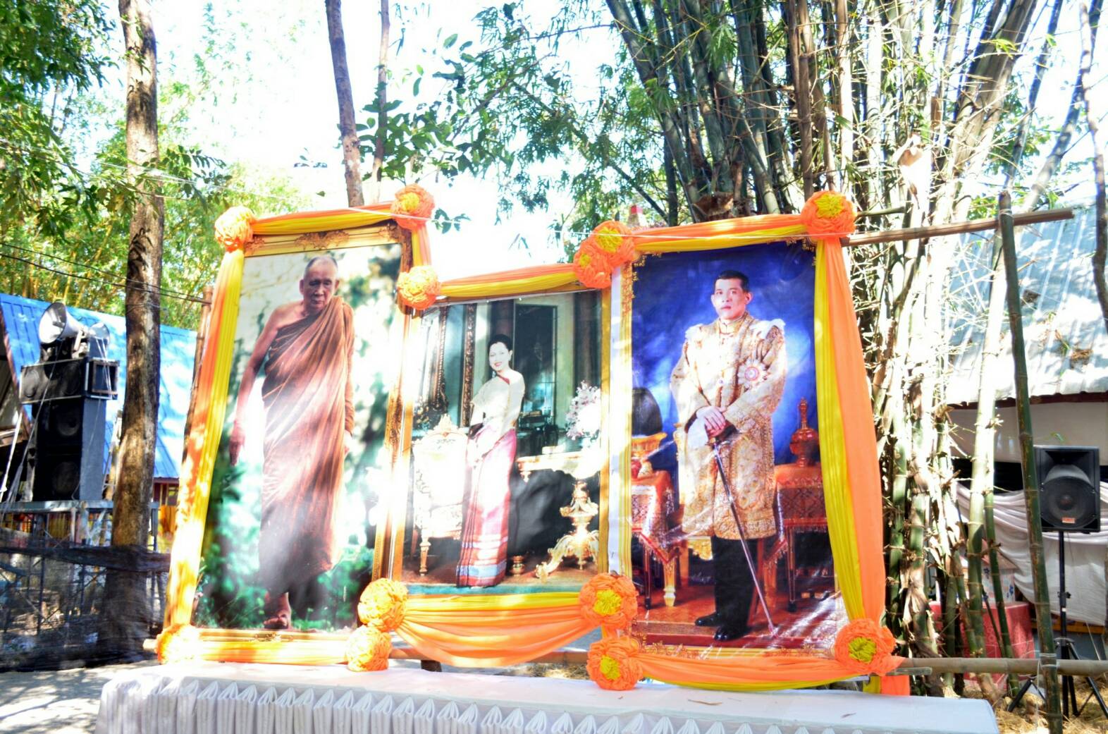 201253.jpg