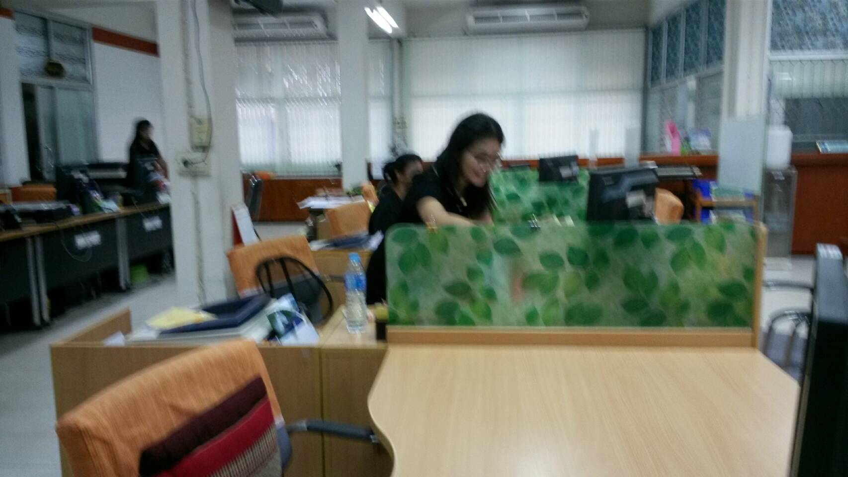 7361.jpg