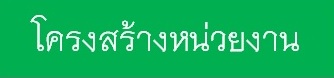 PP001.jpg